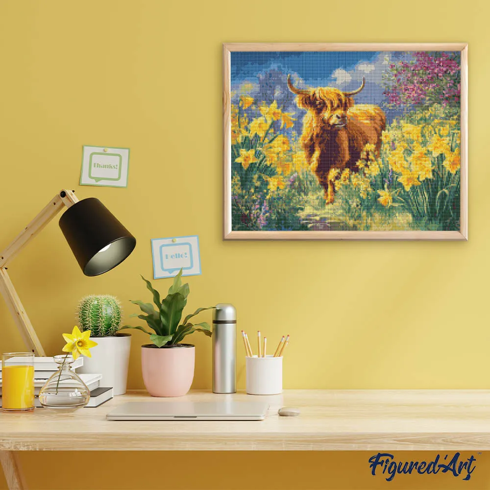 Figured'Art Schotse Hooglander met Narcissen diamond painting 40x50