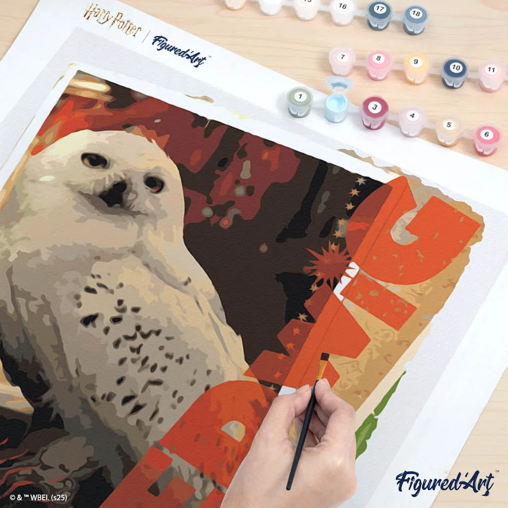 Figured'Art Harry Potter Hedwig-kaart schilderen op nummer 40x50cm