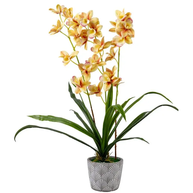 Craft Buddy Forever Flowerz Cymbidium orchidee crème pot