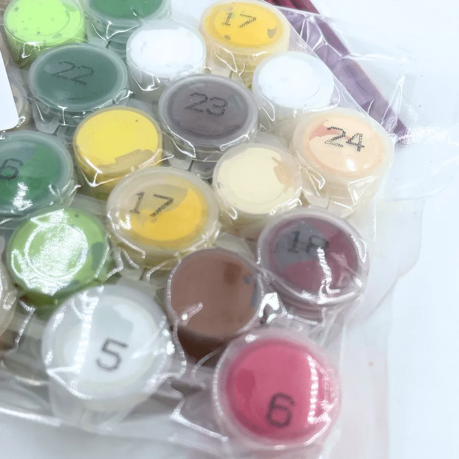 Craft Buddy Paint by Numb3rs wenskaarten schilderen dieren 6 stuks