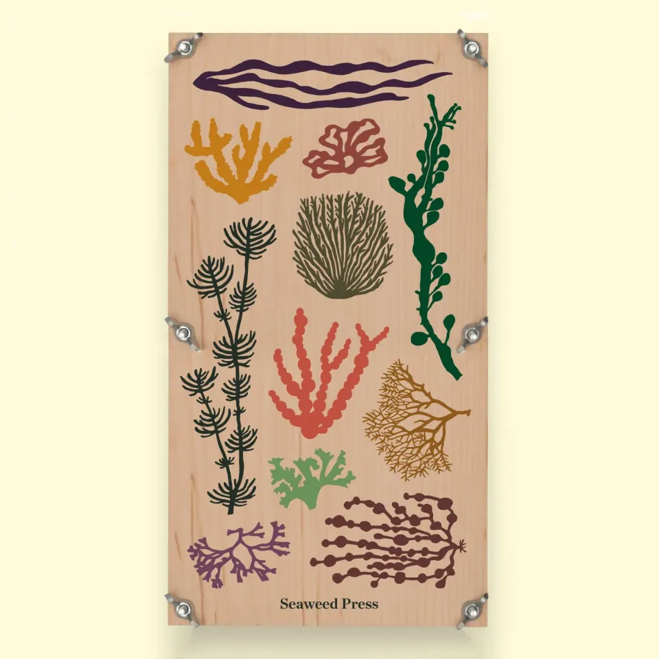Studio Wald Large Seaweed Press zeewierpers 28 cm