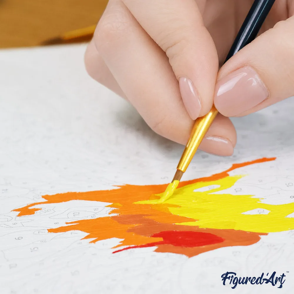Figured'Art Kleurrijke Abstracte Vos cadeauset schilderen op nummer