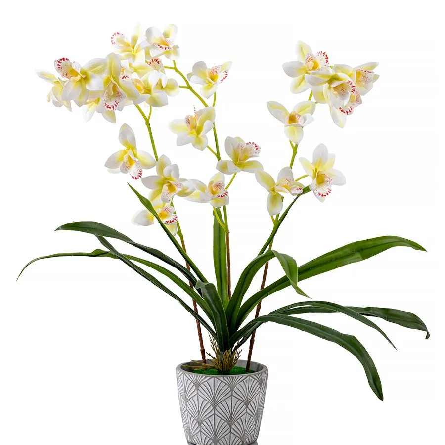 Craft Buddy Forever Flowerz Cymbidium orchidee roze-wit pot