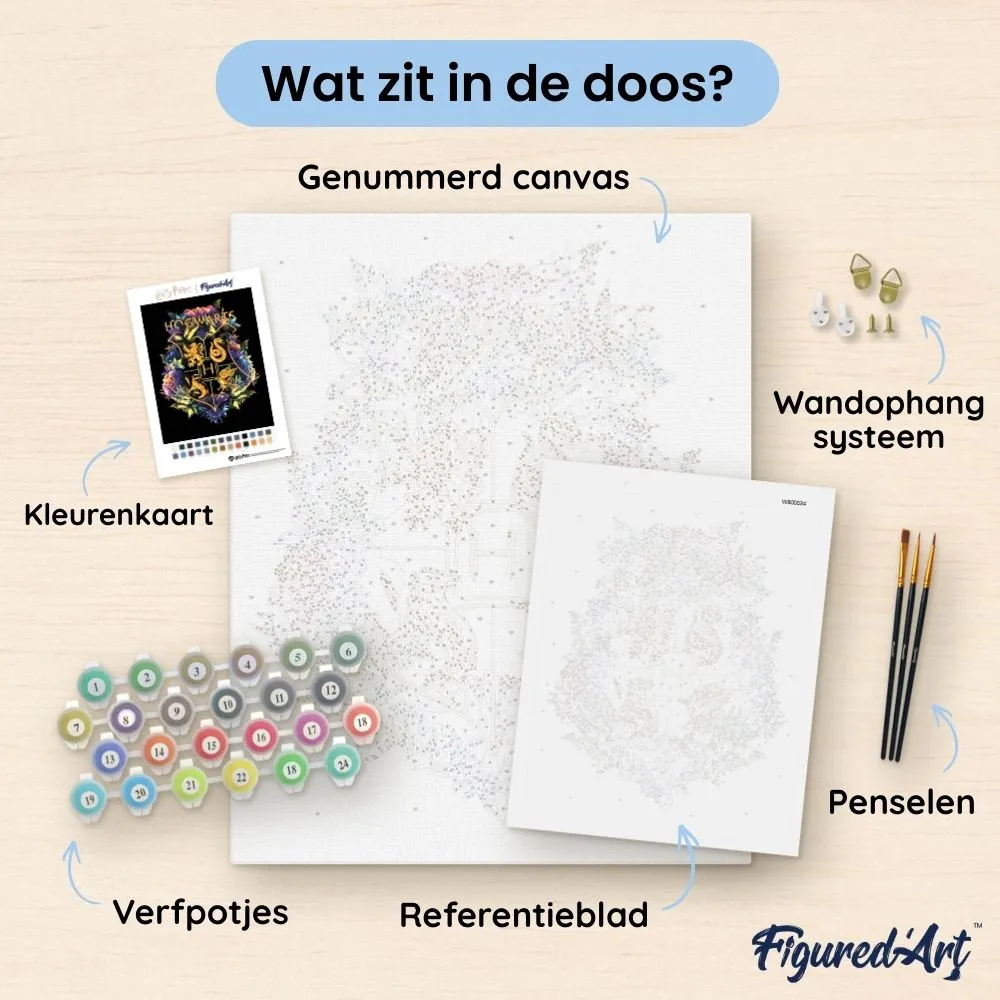 Figured'Art Harry Potter Bloemenwapen schilderen op nummer 40x50