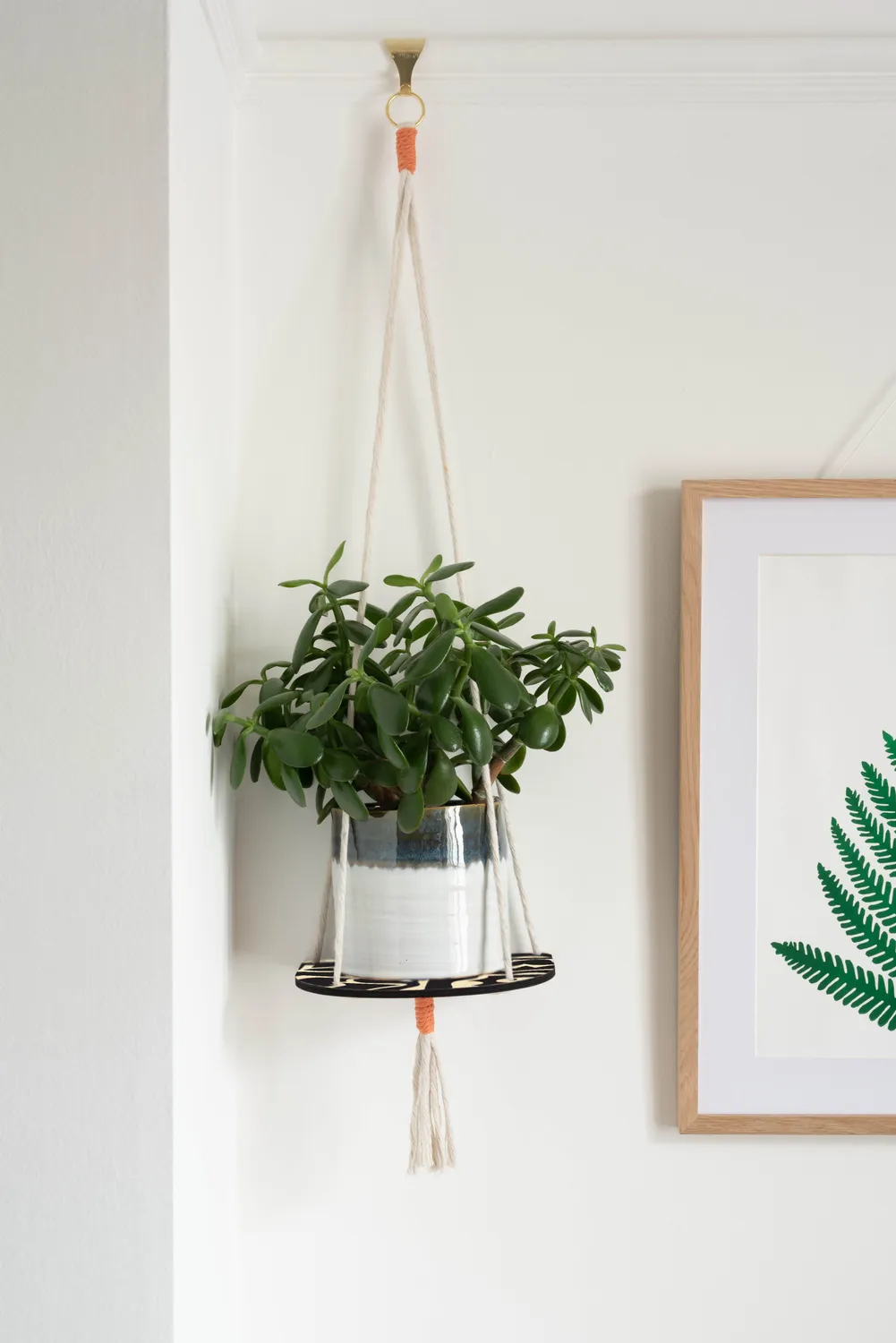 Studio Wald Hanging Plant Shelf plantenplank zwart 20 cm