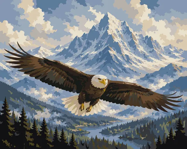 Figured'Art Adelaar Boven de Bergen schilderen op nummer 40x50