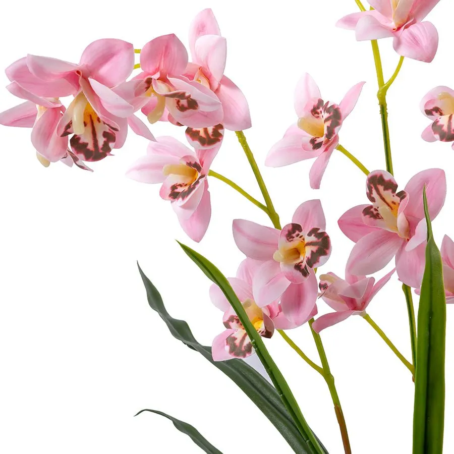 Craft Buddy Forever Flowerz Cymbidium orchidee roze-wit pot