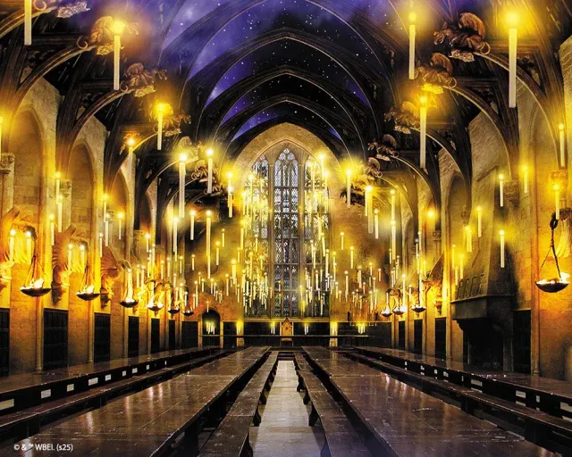 Figured'Art Grote Zaal Harry Potter diamond painting 40x50cm ingelijst
