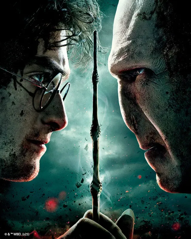Figured'Art Harry Potter tegen Lord Voldemort diamond painting 40x50cm
