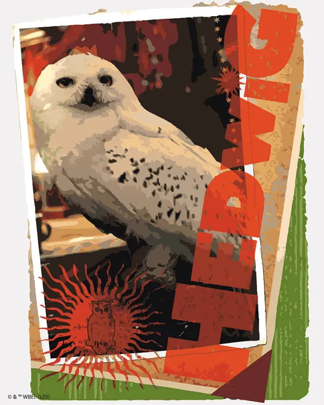 Figured'Art Harry Potter Hedwig-kaart schilderen op nummer 40x50cm