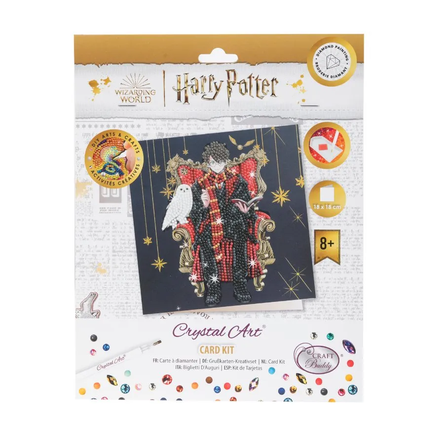 Craft Buddy Harry Potter Harry & Hedwig crystal art kaart 18cm