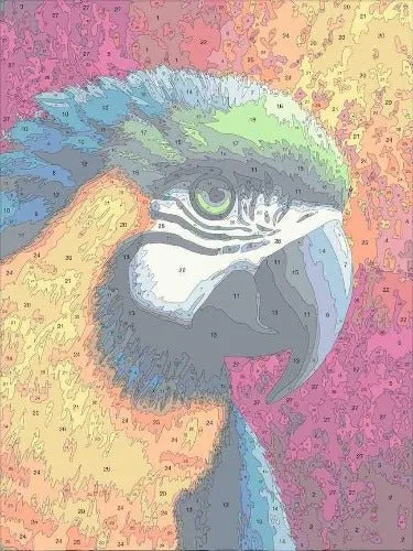 Craft Buddy Paint by Numbers Paradise canvas kit 30x40cm papegaai