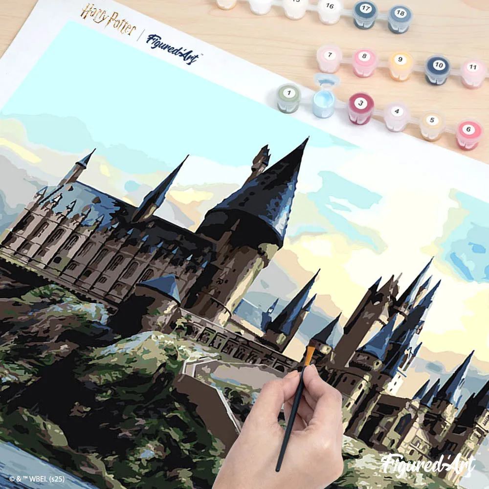 Figured'Art Harry Potter Hogwarts schilderen op nummer 40x50cm