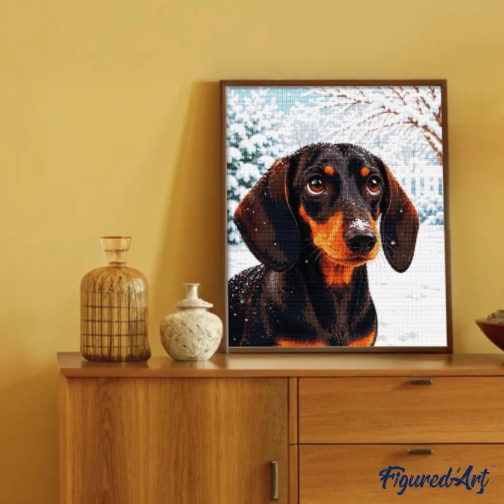 Figured'Art Teckel Winterportret Diamond Painting 40x50 Dier