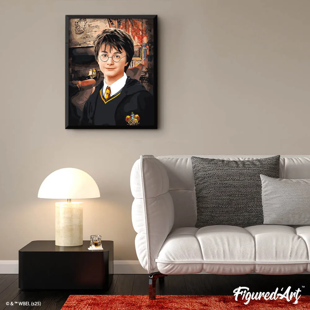 Figured'Art Portret van Harry Potter schilderen op nummer 40x50 cm gemiddeld