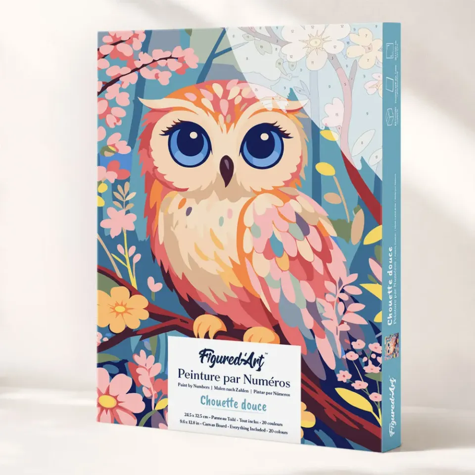 Figured'Art Schattige Uil cadeauset schilderen op nummer