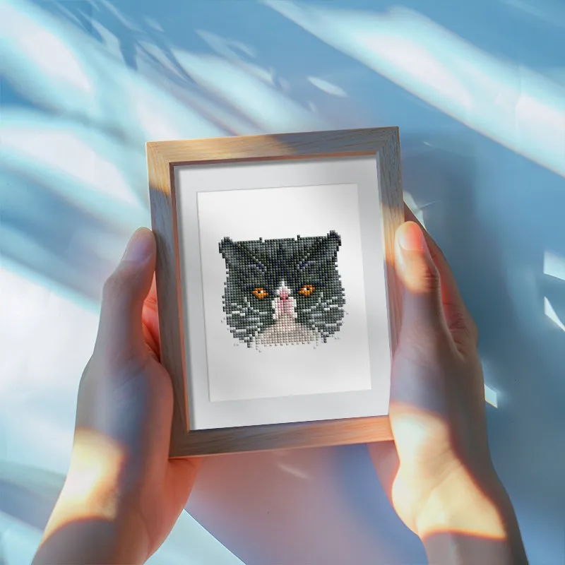 Figured'Art Kattenvrienden mini diamond painting 15x20 cm 4 stuks