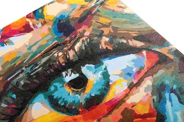Craft Buddy Paint by Numbers Creative Eye canvas 30x30cm kind