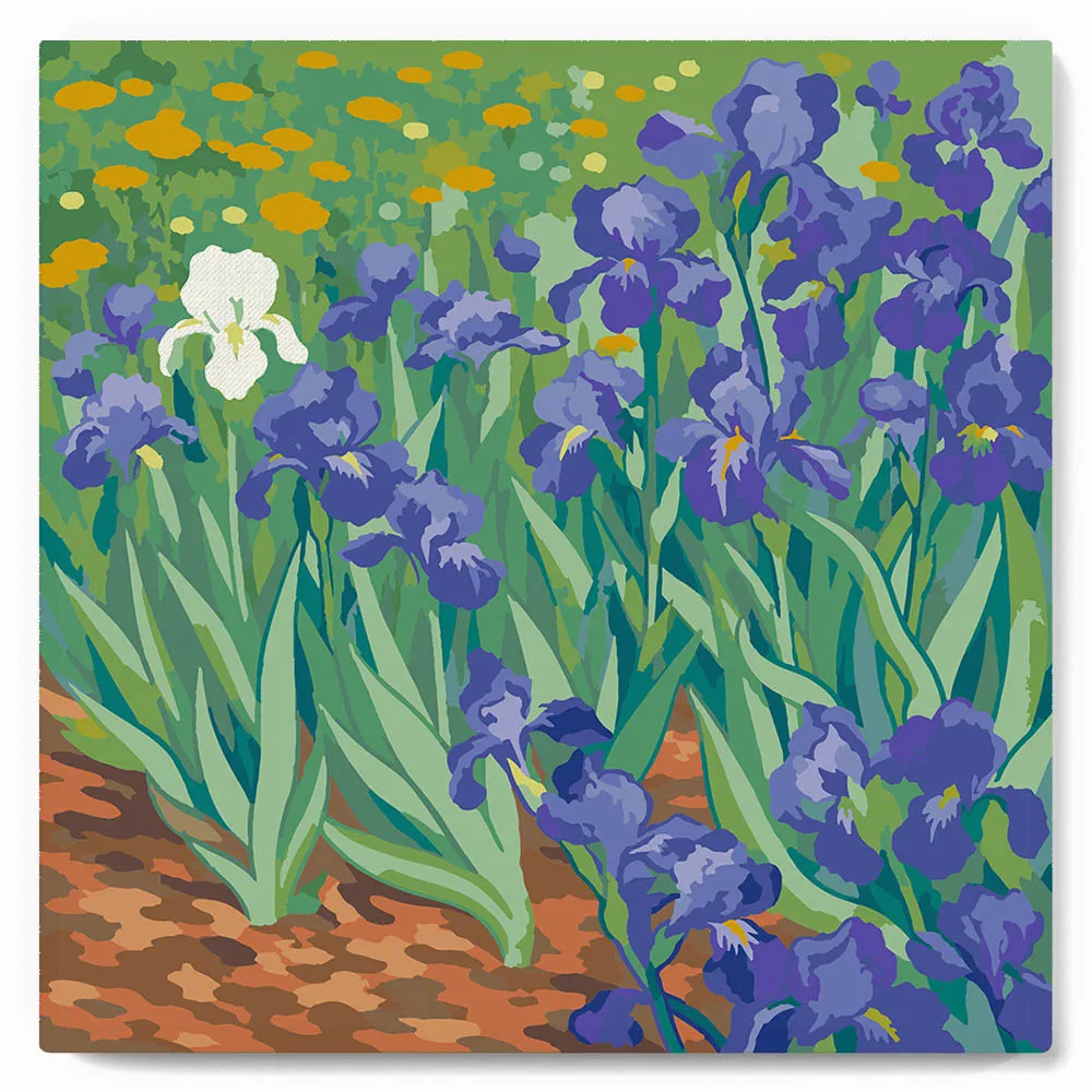 Figured'Art Van Gogh Iris schilderen op nummer 20x20cm met frame
