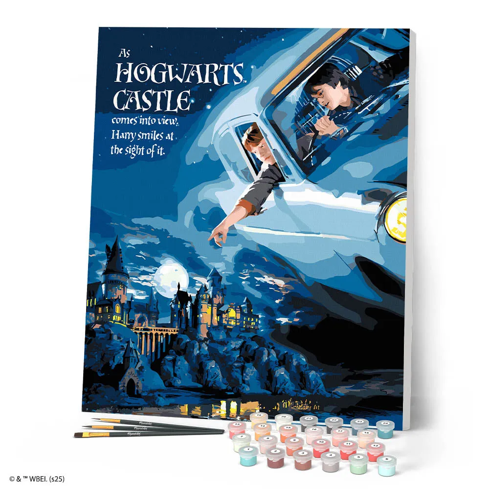 Figured'Art Harry Potter Vlucht naar Hogwarts nummer 40x50 cm