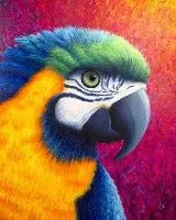 Craft Buddy Paint by Numbers Paradise canvas kit 30x40cm papegaai