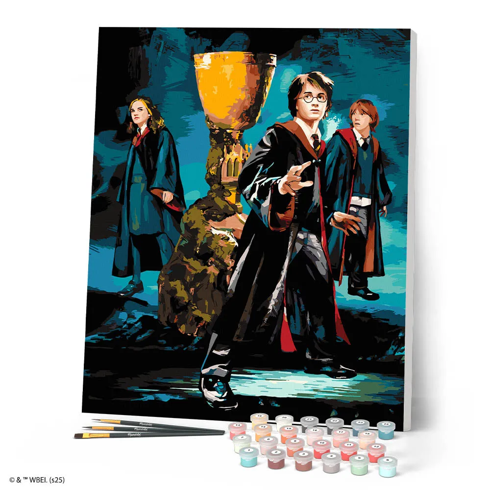 Figured'Art Harry Potter schilderen op nummer Het Trio Vuurbeker 40x50cm