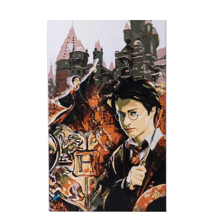 Craft Buddy Harry Potter Collage Paint by Numb3rs canvas 30x50cm