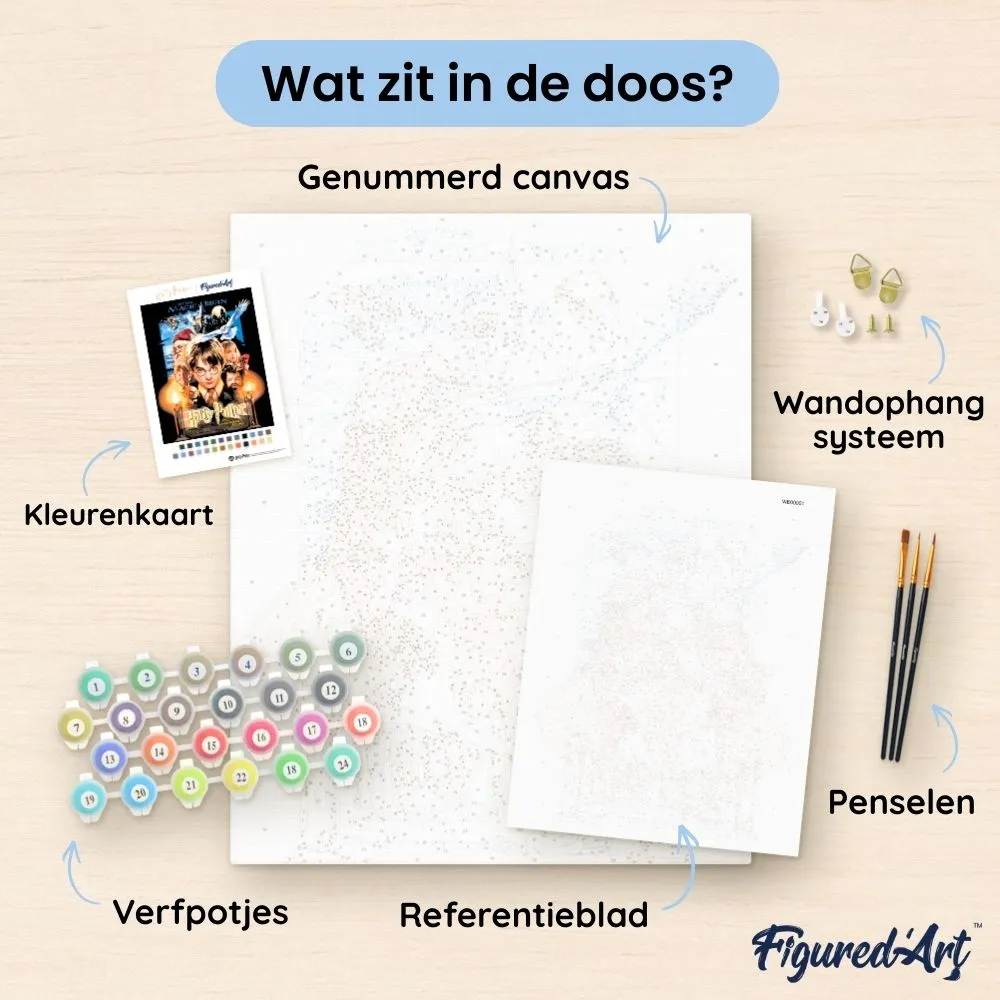 Figured'Art Harry Potter en de Steen der Wijzen Poster schilderen op nummer 40x50 zonder lijst
