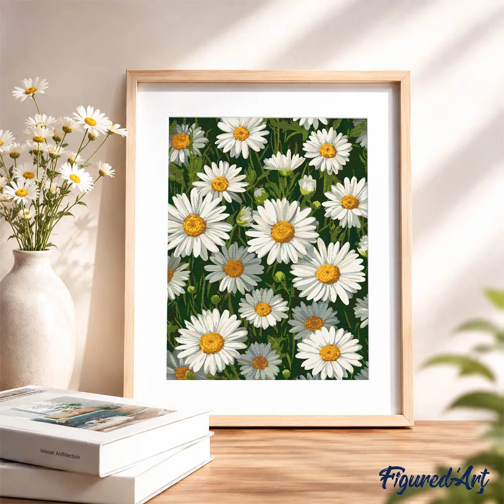 Figured'Art Witte Madeliefjes schilderen op nummers 24,5x32,5 cm