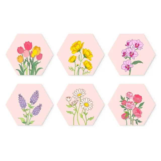 Figured'Art Mini Serie Bloemenset schilderen op nummer 6 stuks lente