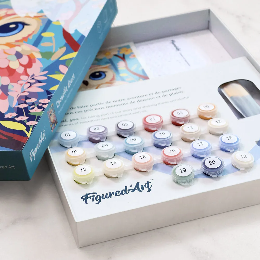 Figured'Art Schattige Uil cadeauset schilderen op nummer