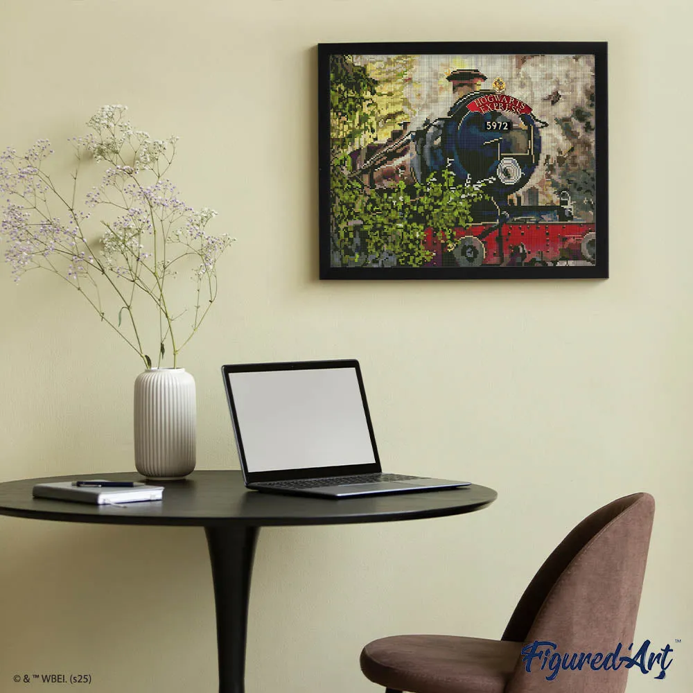Figured'Art Hogwarts Express diamond painting 40x50cm ingelijst