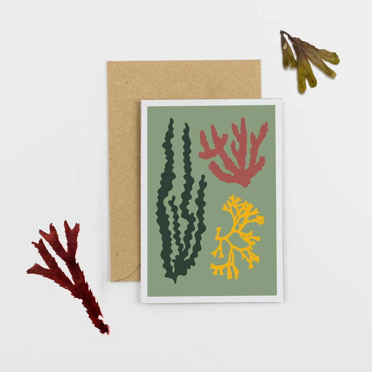 Studio Wald Seaweed wenskaart A6 groen seconds