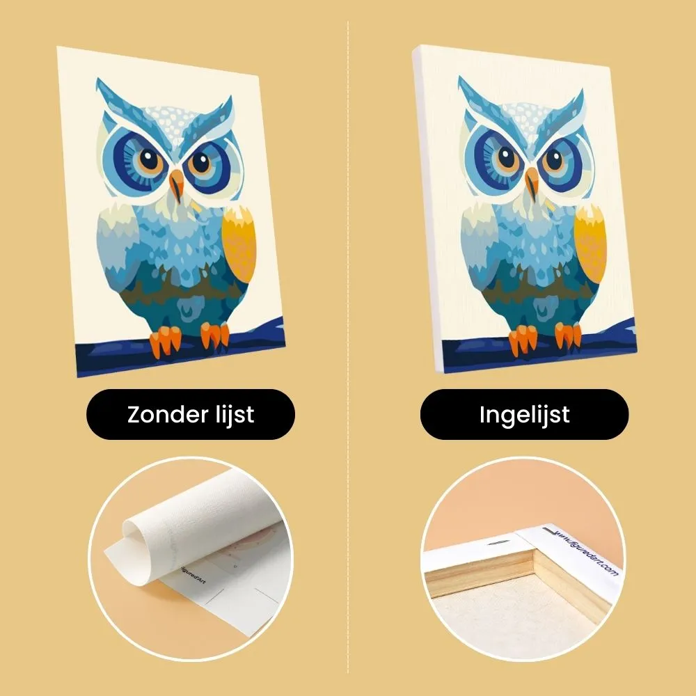 Figured'Art Kleurrijke Nachtwacht Mini Schilderen op Nummer 6x uil