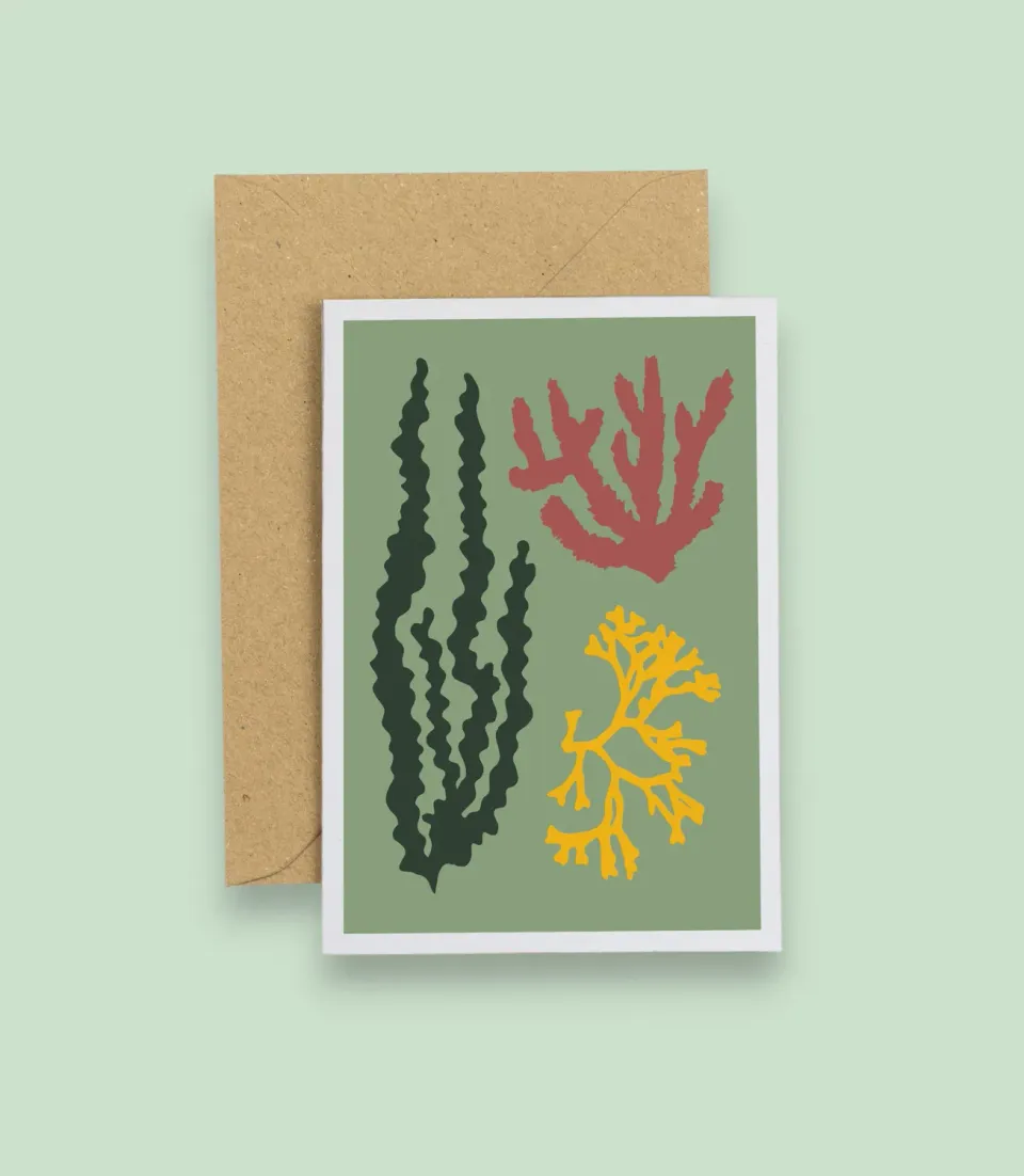 Studio Wald Seaweed wenskaart groen A6 zeewier