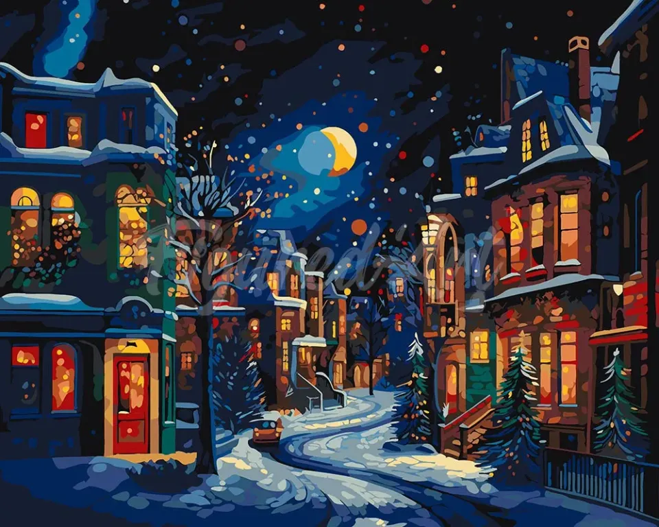 Figured'Art Halve Maan in de Winter schilderen op nummer 40x50 gevorderd
