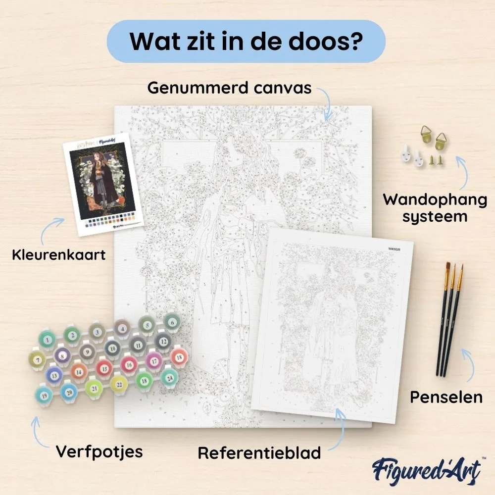 Figured'Art Harry Potter Hermione Granger Yume schilderen op nummer 40x50 cm