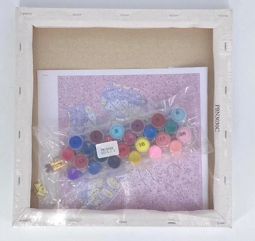 Craft Buddy Paint by Numbers Change Rachel Froud canvas 30x30cm