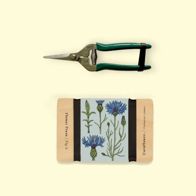 Studio Wald Cornflower geschenkset pers + tuinschaar