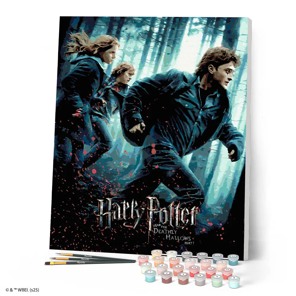 Figured'Art Harry Potter Relieken Deel 1 poster 40x50 nummer