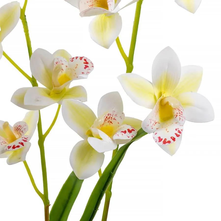 Forever Flowerz Cymbidium orchidee knutselpakket wit