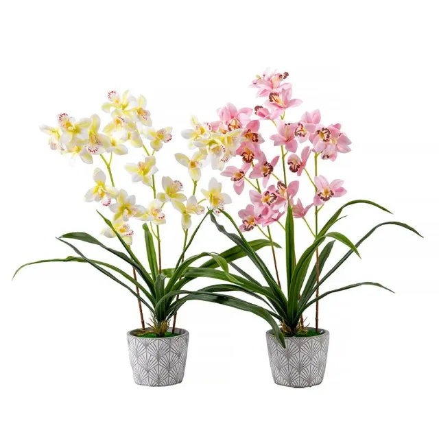 Craft Buddy Forever Flowerz Cymbidium orchidee roze-wit pot