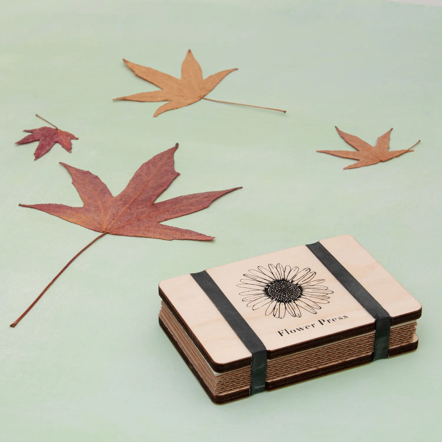 Studio Wald Pocket Flower Press bloemenpers Line Daisy