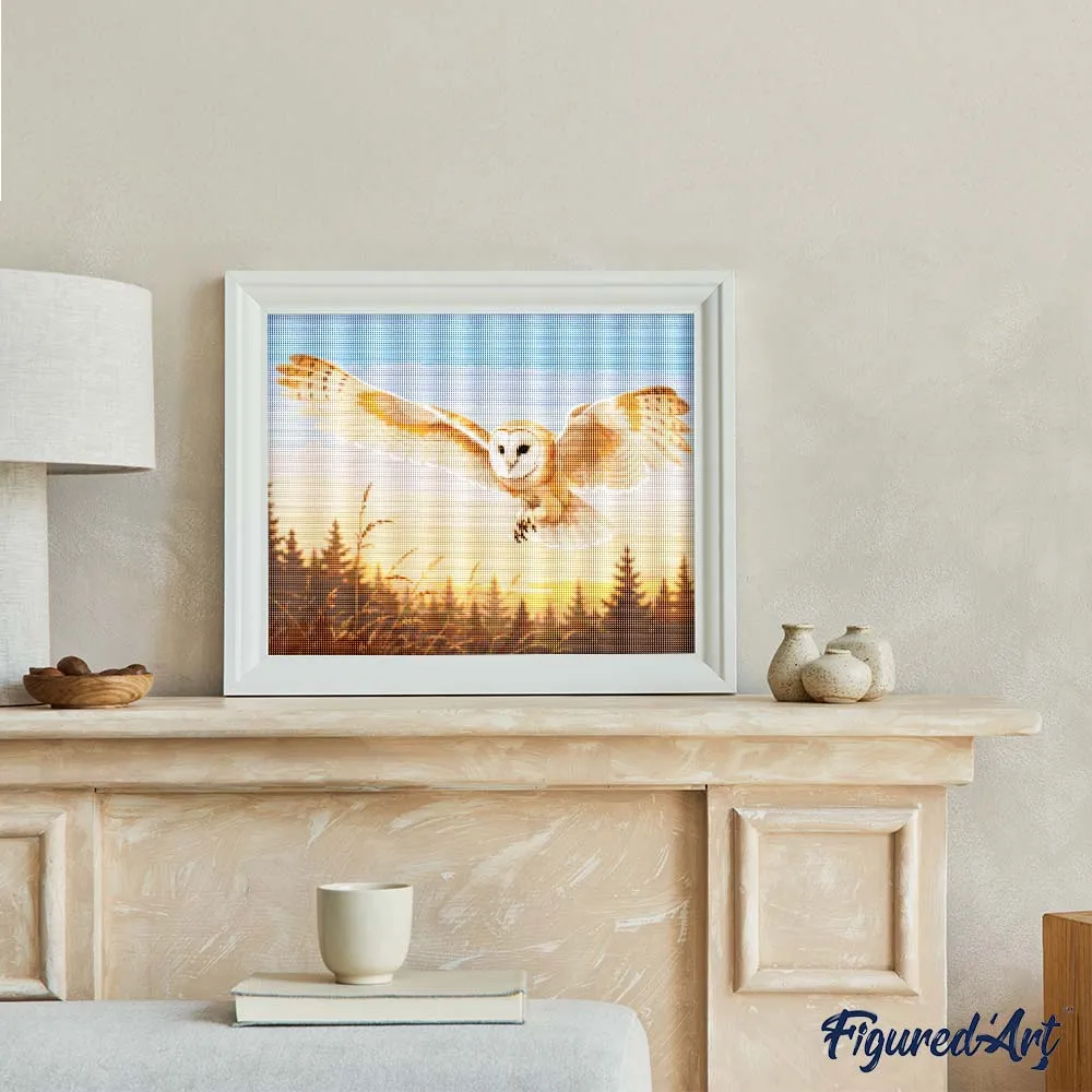 Figured'Art Kerkuil in de Avondzon diamond painting 40x50 cm full drill