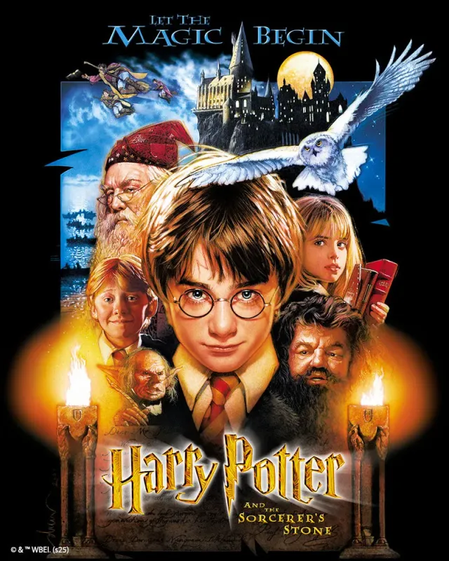 Figured'Art Harry Potter Steen der Wijzen diamond painting 40x50 ingelijst
