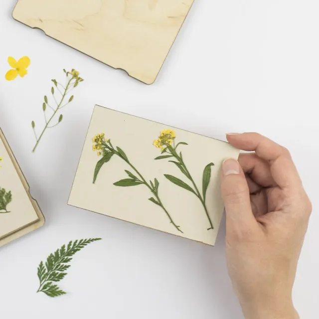 Studio Wald Pocket Flower Press navulset papier en karton