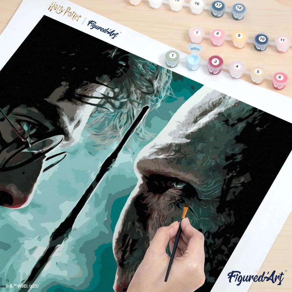 Figured'Art Harry Potter tegen Lord Voldemort schilderen op nummer 40x50 cm gevorderd