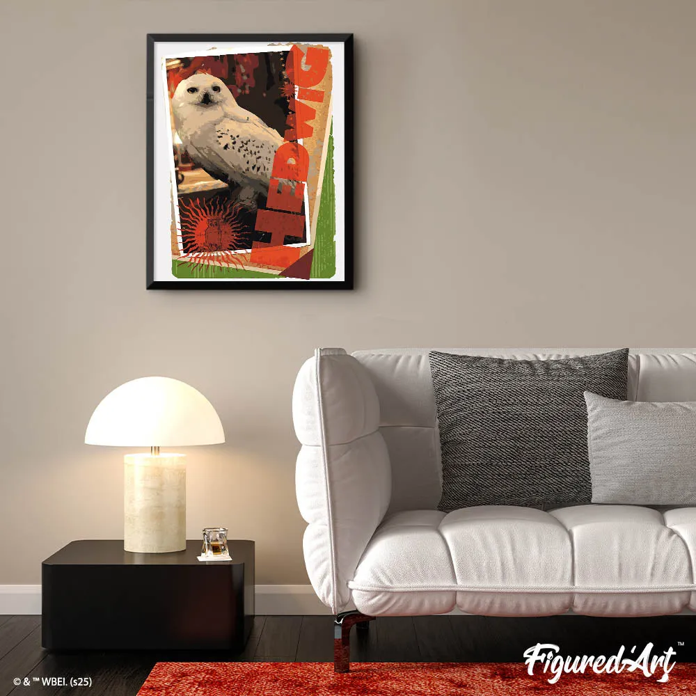 Figured'Art Harry Potter Hedwig-kaart schilderen op nummer 40x50cm