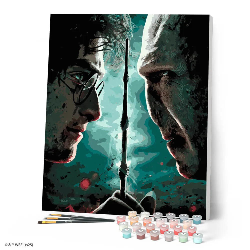 Figured'Art Harry Potter tegen Lord Voldemort schilderen op nummer 40x50 cm gevorderd