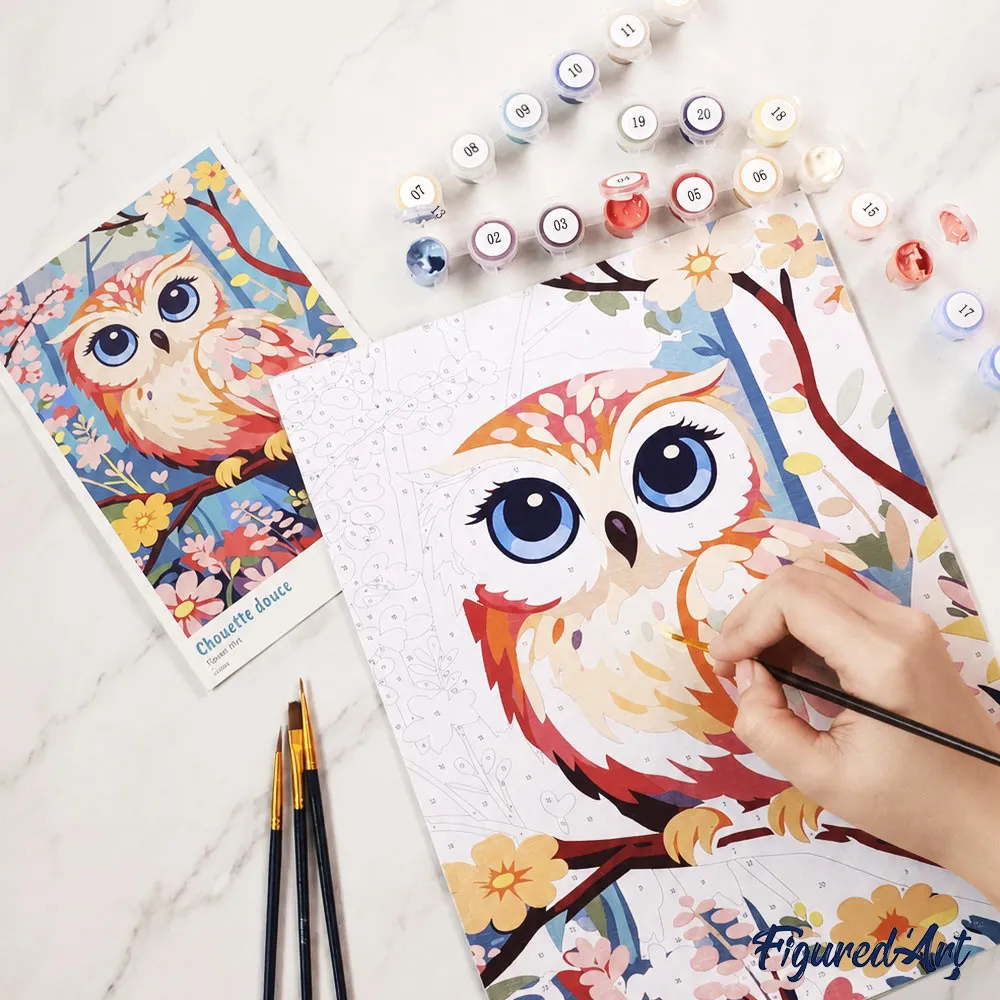 Figured'Art Schattige Uil cadeauset schilderen op nummer